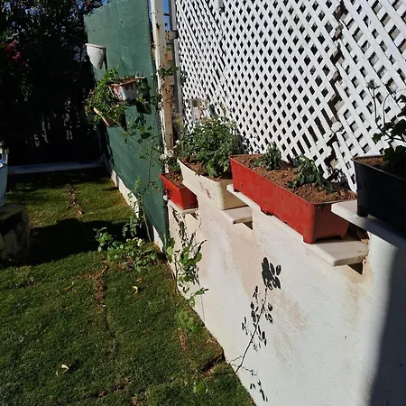 Sea View W Garden 50m To Sarımsaklı