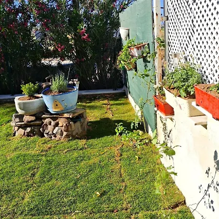 דירה Sea View W Garden 50m To Sarimsakli *