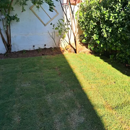 דירה Sea View W Garden 50m To Sarimsakli